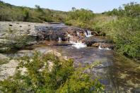 Mais três áreas de conservação do Paraná terão gestão concedida à iniciativa privada