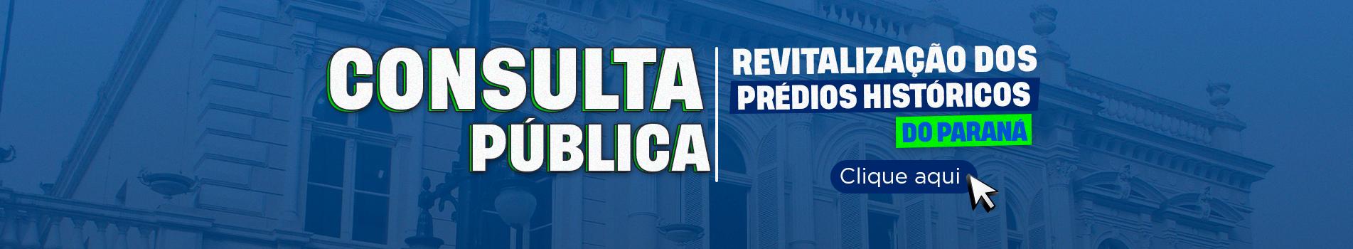 consulta pública