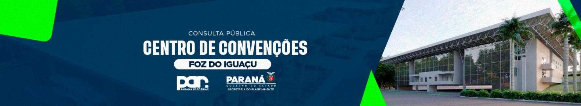 Consulta pública