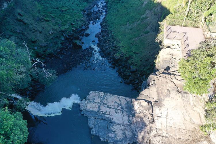 Mais três áreas de conservação do Paraná terão gestão concedida à iniciativa privada